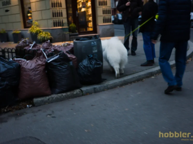 Leather Art Weekend 2025