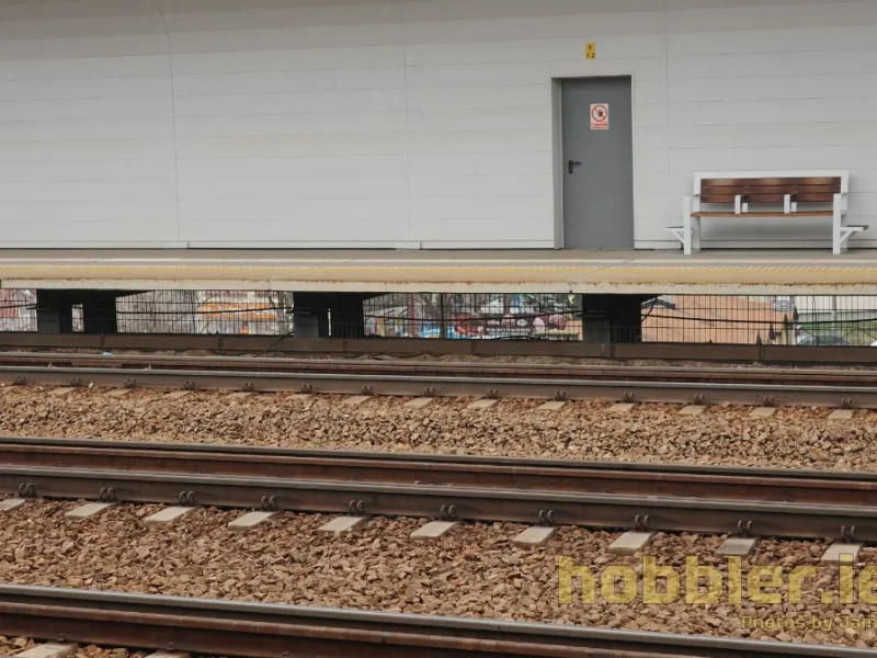 Leather Art Weekend 2025