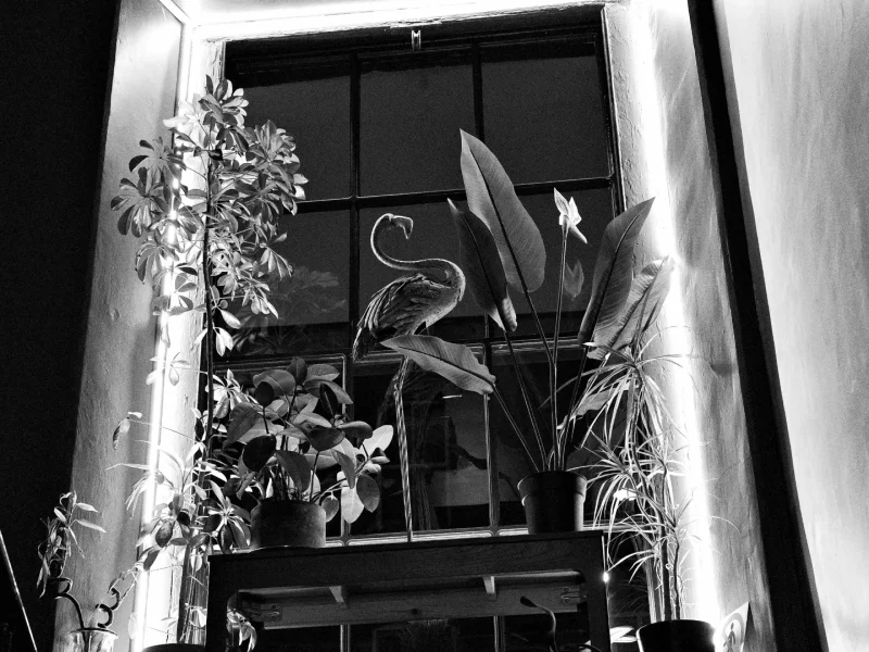 Leathermen of Ireland 5th Birthday